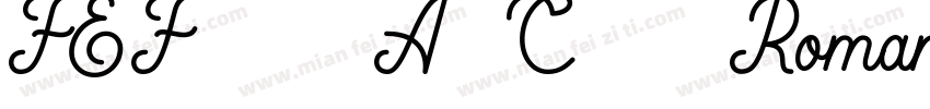 FEF504A6C89 Roman字体转换